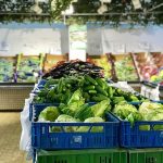 Optimiza tu logística y ventas con una entrega omnicanal efectiva en Costa Rica